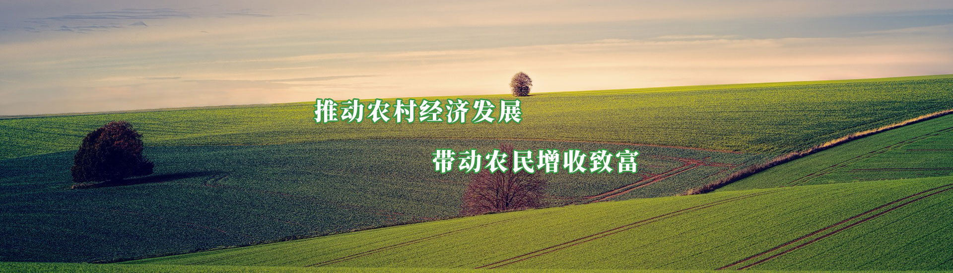 中国·9091美高梅(股份)有限公司-官方网站