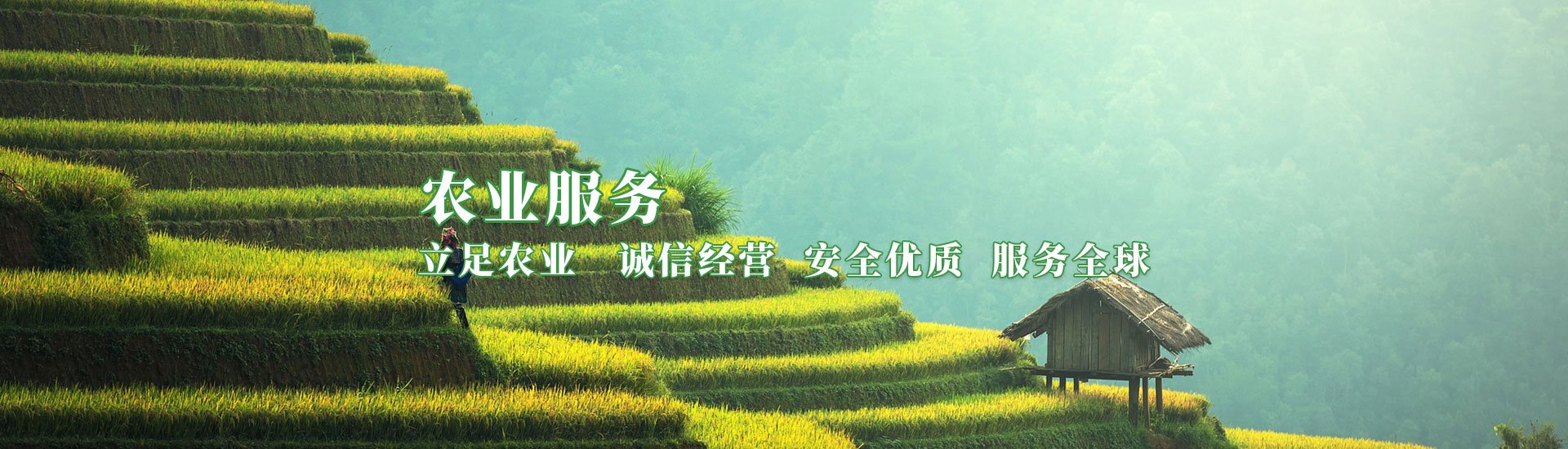 中国·9091美高梅(股份)有限公司-官方网站