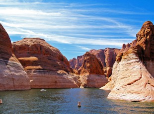 农业村落部：加强尝试室生物安全治理 保险畜牧业出产安全