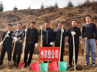 9091美高梅参与2021年春季使命植树活动