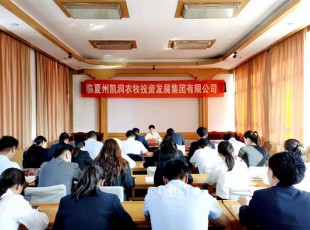 9091美高梅  召开党史进建教育专题领导