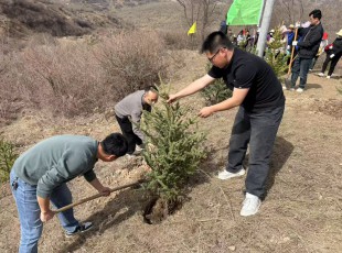 9091美高梅公司参与2025年春季使命植树活动